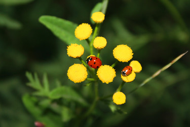 Similar image 1063689