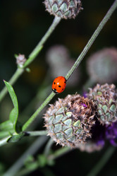 Similar image 1063695