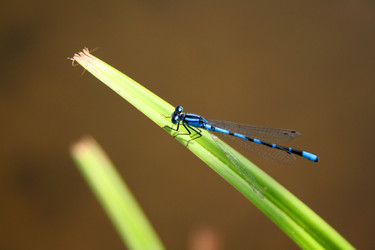 Similar image 1063701