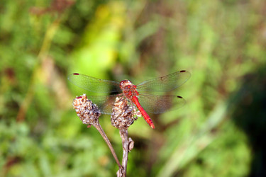 Similar image 1063706