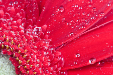 Similar image 1064209