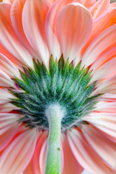 Similar image 1064210