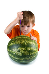 Similar image 1064276