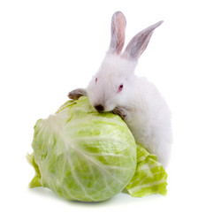 Similar image 1064280