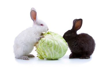 Similar image 1064285