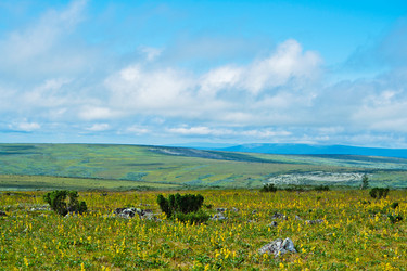 Similar image 1064509