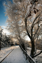 Similar image 1064629