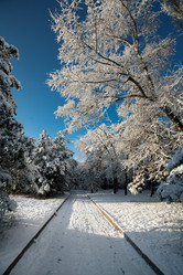 Similar image 1064631