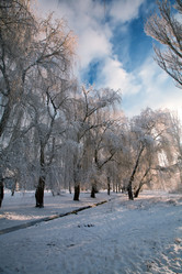 Similar image 1064633