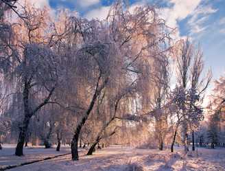 Similar image 1064634