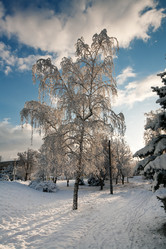 Similar image 1064636