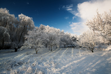 Similar image 1064639