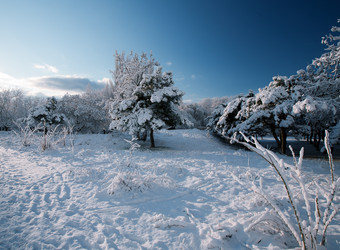 Similar image 1064641