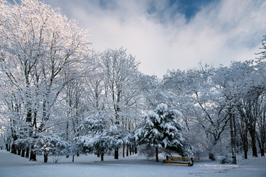 Similar image 1064642