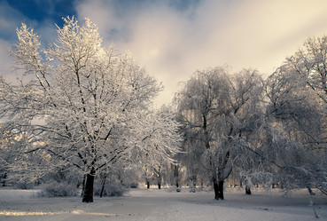 Similar image 1064643