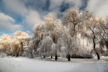 Similar image 1064644