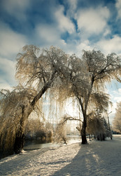 Similar image 1064646