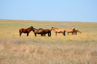 Similar image 1064798