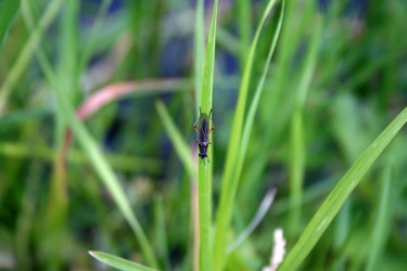 Similar image 1064838