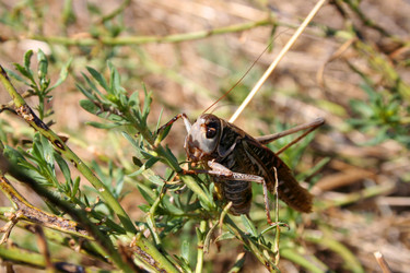 Similar image 1064850