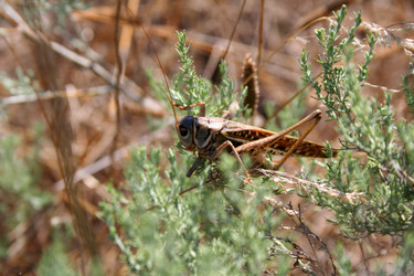 Similar image 1064872