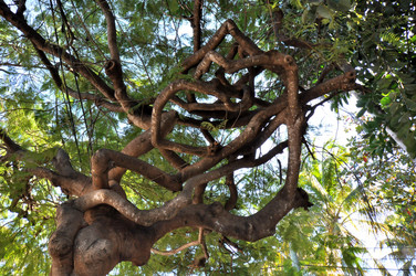 Similar image 1064972