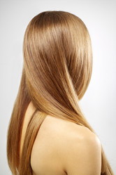 Similar image 1065028