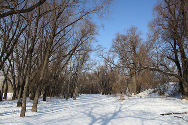 Similar image 1065073