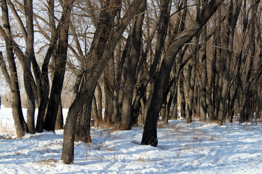 Similar image 1065075