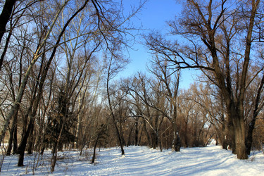 Similar image 1065077