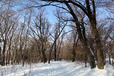 Similar image 1065078