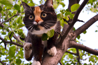 Similar image 1065264