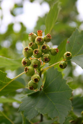 Similar image 1065279