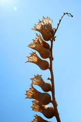 Similar image 1065285