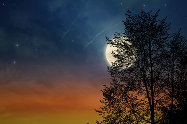 Similar image 1065292