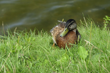 Similar image 1065311