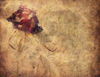 Similar image 1065368