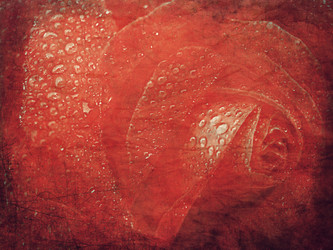 Similar image 1065427