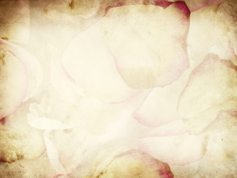 Similar image 1065432