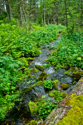 Similar image 1065590