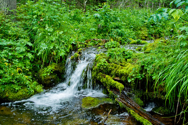 Similar image 1065592