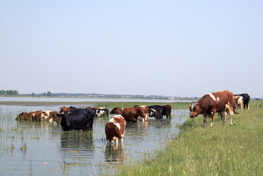 Similar image 1065597