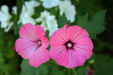 Similar image 1065623