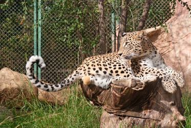 Similar image 1065634