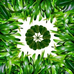 Similar image 1065637