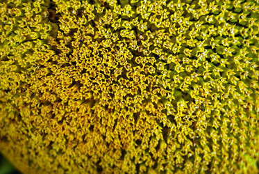 Similar image 1065647