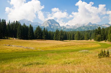 Similar image 1065649