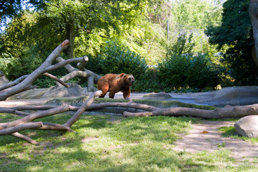 Similar image 1065678