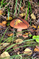 Similar image 1065728