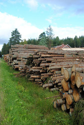 Similar image 1065766